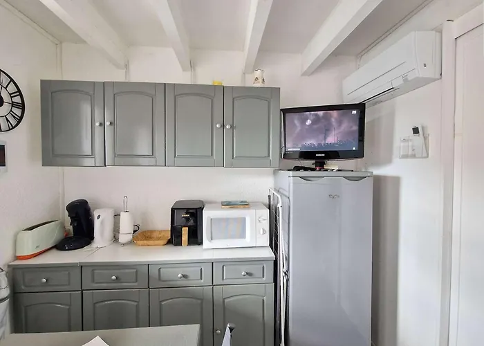 Hébergement de vacances Maisonnette Climatisée, Animaux Ok - Proche - Fr-1-387-228